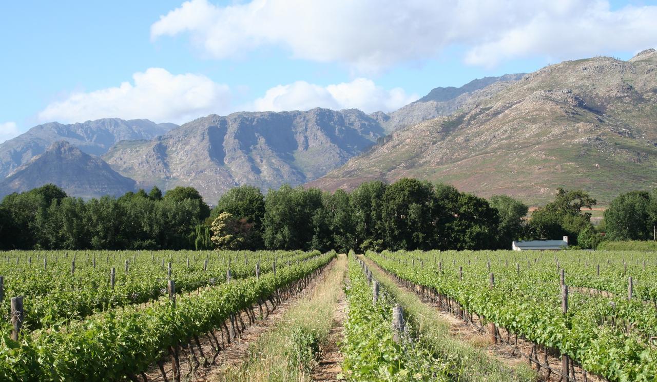 La Chataigne Wines & Guest Cottages Franschhoek Exteriér fotografie