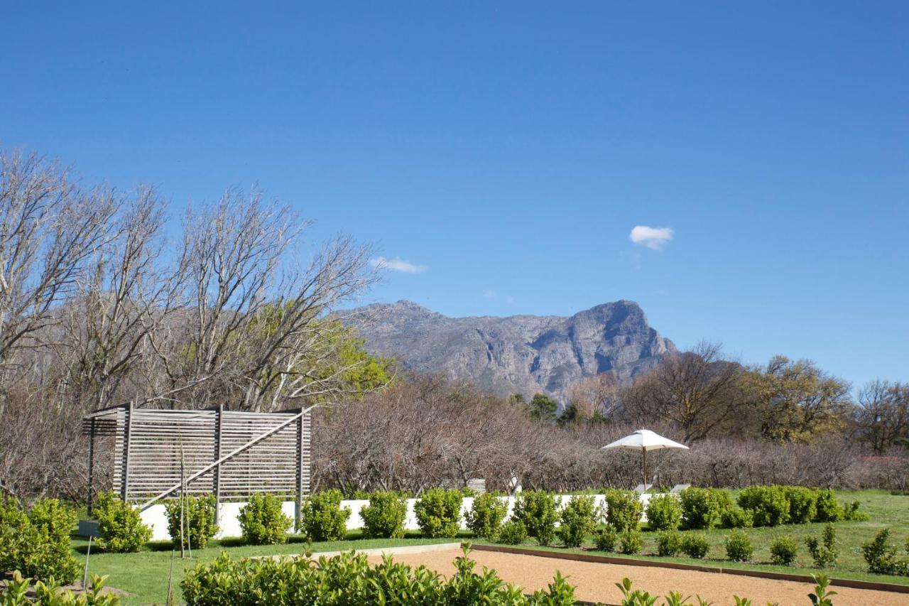 La Chataigne Wines & Guest Cottages Franschhoek Exteriér fotografie