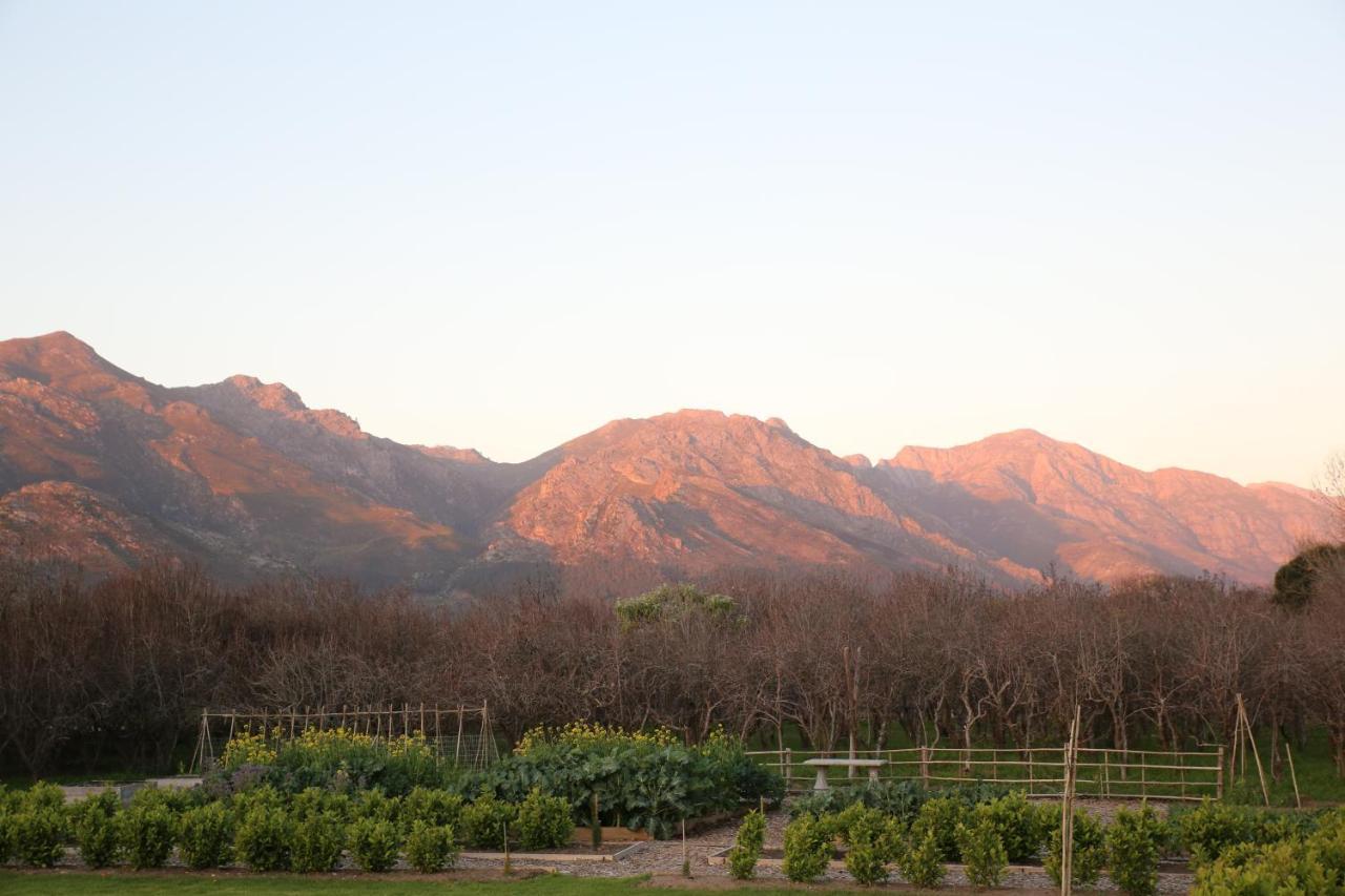 La Chataigne Wines & Guest Cottages Franschhoek Exteriér fotografie