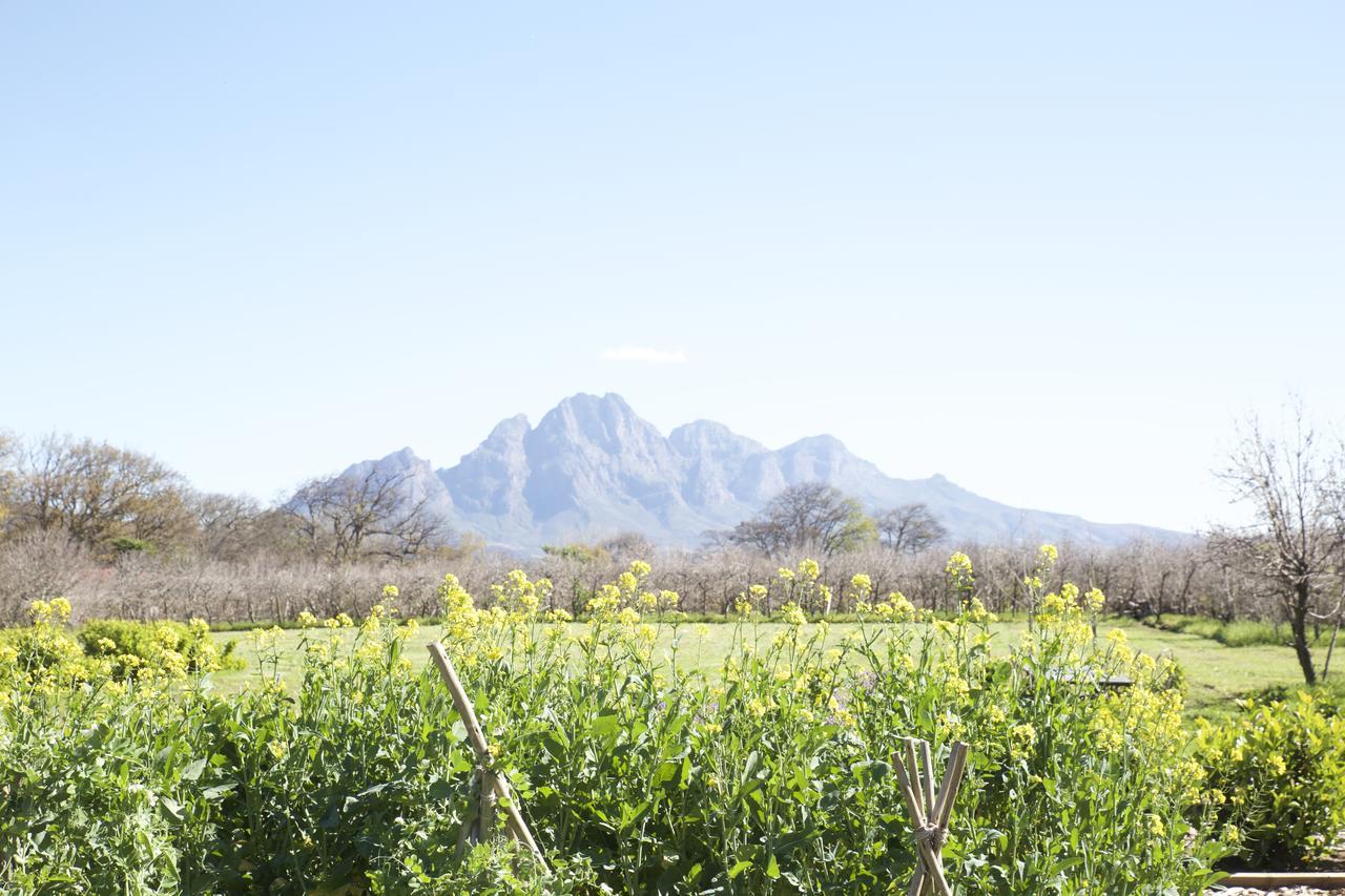 La Chataigne Wines & Guest Cottages Franschhoek Exteriér fotografie