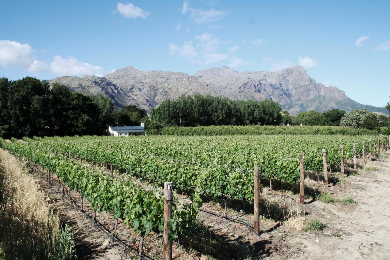 La Chataigne Wines & Guest Cottages Franschhoek Exteriér fotografie